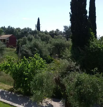 Shambala * Λιαπάδες