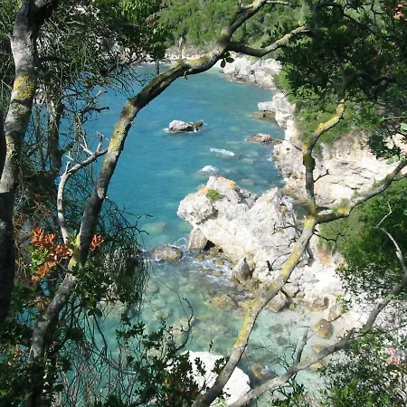 Shambala Liapades