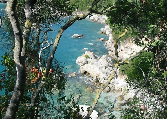 Shambala Λιαπάδες