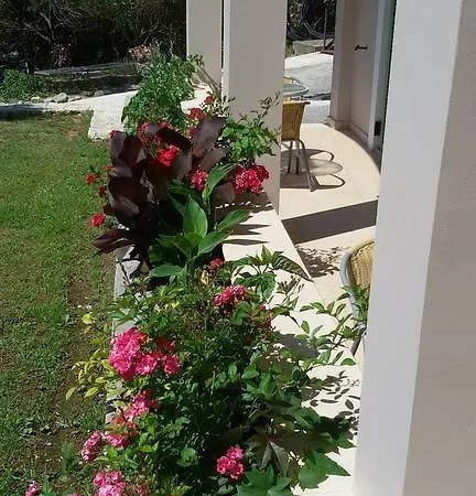 アパート Shambala