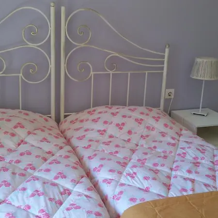 Shambala リアパデス