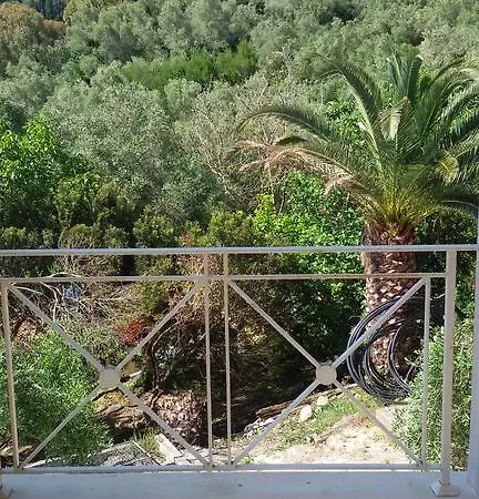 Shambala リアパデス