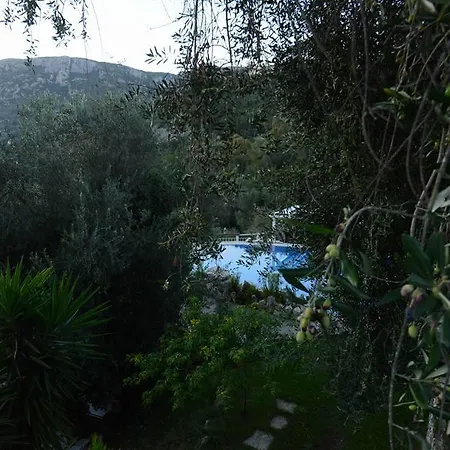 アパート Shambala